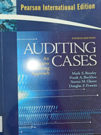 Image of Auditing Cases; An Interactive Learning Approach