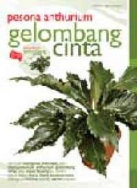 Pesona Anthurium Gelombang Cinta
