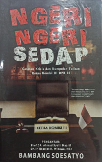 Image of Ngeri-Ngeri Sedap; Catatan Kritis dan Kumpulan Tulisan Ketua Komisi III DPR RI